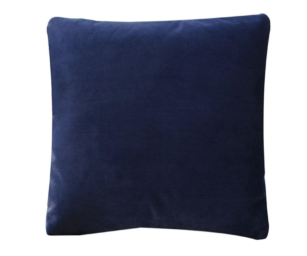 Joei Velvet Pillow